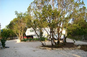 A fifth-wheel trailer parked among trees beside a gravel drive